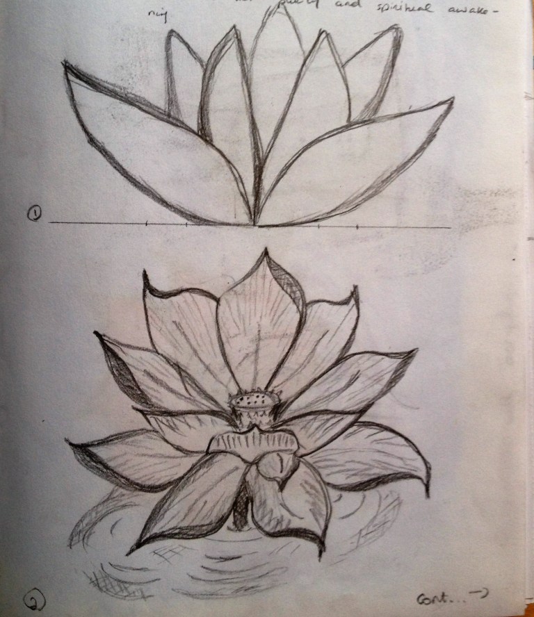 Lotus flower sketches